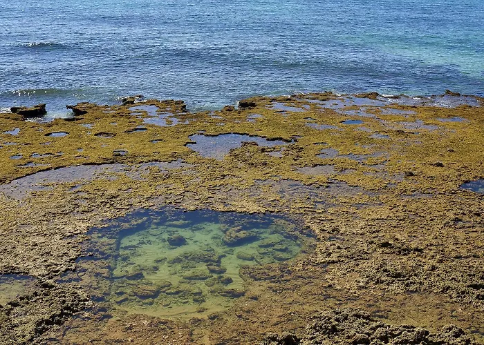 海神旅馆公寓 4*